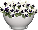 Classic Home and Garden Premiere Collection Planter, Rosie 10", Stark White by GreenHaven Gardens