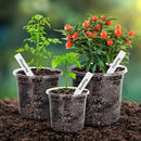 Bonviee Clear Nursery Pots for Plants, 6.7/5/4 Inch Plastic Seedling Pots with Drainage Holes, Planters for Indoor Plants and Transparent Seed Starter Pots with 10 Plant Labels, 30 Pack by GreenHaven Gardens