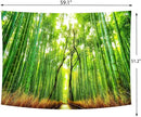Delur Forest Pathway Tapestry Sunset Tropical Rainforest Nature Tree Tapestry Wall Hanging Sunrise Scenic Natural Green Landscape Headboard for Bedroom Living Room Home Decor (51.2" x 59.1") by CozyNest Decor