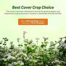 Outsidepride Buckwheat Seeds - 10lbs Annual, Fast-Growing, Easy to Grow Buckwheat Cover Crop Seeds for Green Manure, Bee Pasture & Pollinators, Wildlife Habitat, Soil Improvement, and Erosion Control by GreenHaven Gardens