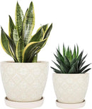 Docrin Ceramic Plant Pots Indoor: 6.6 + 5.5 Inch Planters with Drainage Holes and Saucer for Home/Office - Set of 2 /White by GreenHaven Gardens