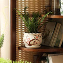 Ceramic Plant Pots with Drainage Holes and Saucers, Round Flower Pots for Indoor Plant, 3.9/5.2/6.7 Inches Small Flower Planters Set of 3 by GreenHaven Gardens