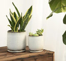 D'vine Dev 6 Inch 4 Inch Ceramic Indoor Planter Pots with Drainage Hole and Saucer, Beaded Design Flower Pots, Set of 2, Smoked White, 27-D-U-1 by GreenHaven Gardens