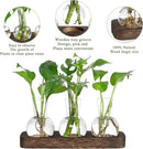 YIBOT Propagation Stations,Plant Propagation Vase,Desk Plant Terrarium with Retro Wooden Stand,Plant Lover Gifts for Women for Hydroponics Plants Home Garden Wedding Decor(3 Vase) by CozyNest Decor