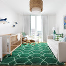ONASAR Area Rugs for Living Room Bedroom, 5x8 Washable Fluffy Dark Green and White Rug, Geometric Boho Soft Plush Shaggy Fuzzy Floor Carpet for Nursery Kids Girls Boys Teen Dorm Home Decor Aesthetic by TinyTreasures Baby Boutique