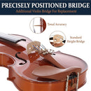 Cecilio 1/2 Size Natural Varnish Violin for Beginners, Hand-Carved Solid Spruce Top, Maple Back & Sides, Full Fiddle Kit with Hard Case, Bows, Rosin, Shoulder Rest, Lesson Book by TinyTreasures Baby Boutique