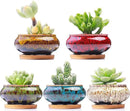 Cute Ceramic Succulent Garden Pots, Planter with Drainage and Attached Saucer, Set of 5 -Plants Not Included (Burner) by GreenHaven Gardens