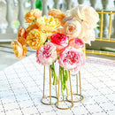 Propagation Station Terrariums with Gold Metal Stand - Kate Aspen 3 Glass Test Tube Planters for Indoor Plant, Air Plants, Plant Clippings, Cut Flowers, Herbs, Succulents | Home Decor Table Decoration by GreenHaven Gardens