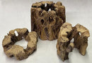 3 Natural Cholla Wood Air Plant Display Holders Individually Unique Round Decorative Stands (3 Pack Cholla Rounds) by GreenHaven Gardens