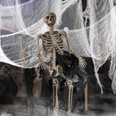 Biubee 5Pcs Halloween White Creepy Cloth- Spooky Gauze Fabric Cloth for Haunted Horror House Halloween Party Doorway Outdoors Decoration (30" ×72") by CozyNest Decor