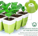 10pcs Reusable Seed Starter Tray, 120 Cells Seed Starter Kit, Silicone Seedling Starter Trays for Starting Plant Seeds with Flexible pop-Out Cells, Indoor Gardening Plant Germination Trays by GreenHaven Gardens