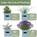 PERFNIQUE Indoor Herb Garden, Herb Garden Planter Set with Tray, Farmhouse Indoor Plant Pots, Windowsill Herb Garden with Drainage(Planter only) for Indoor/Outdoor, Window Pots(Sky Blue) by GreenHaven Gardens