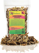 Sphagnum Moss Potting Mix for Carnivorous Plants, Moss and Perlite Blend for Potting Venus Fly Traps, Sarracenia, Pitcher Plants - 75% Sphagnum Moss + 25% Perlite - Made in USA - 4 Quart by GreenHaven Gardens