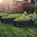 Raised Garden Bed Kit, 4x2x1 ft Galvanized Planter Box Outdoor with Safety Edging, Large Metal Raised Beds for Gardening Vegetables Flower Herb (Navy Blue) by GreenHaven Gardens