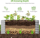 Land Guard Galvanized Raised Garden Bed, 8x4x2ft Planter Boxes Outdoor, Oval Larger Metal Planter Boxes for Vegetables, Fruits, Flowers (Silver) by GreenHaven Gardens