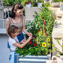 Land Guard Galvanized Raised Garden Bed with Legs, 48×24×32in Large Metal Elevated Raised Planter Box with Drainage Holes for Backyard, Patio, Balcony, 400lb Capacity by GreenHaven Gardens