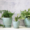 Succulent Planter for Indoor Plants, 4 Inch Small Ceramic Plant Pot with Drainage Holes and Saucers, Flower Pots for herb - Set of 4 by CozyNest Decor