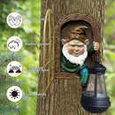 Fairy Garden Statues Gnomes Solar Lantern - Whimsical Elf Out The Door Tree Hugger Figurines Fence Wall Yard Art Home Decor Outdoor Tree Face Sculpture, Ideal Birthday Housewarming Decorations Gifts by GreenHaven Gardens