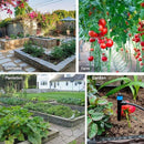 162ft Drip Irrigation Kit 5/16“ID Main Hose and 1/4 Inch Pipe Drip Irrigation System with Water Timer Auto Watering System for Garden Adjustable Spray, for Greenhouse, Garden, Lawn, Potted Plants by GreenHaven Gardens