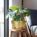 Ceramic Planter 11 Inch - Indoor Plant Pot with Drainage Hole and Saucer Large Planter for Outdoor Plants Mid-Century Decorative Flower Pot for Home Decor Gold by GreenHaven Gardens