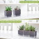 4 Inch Herb Planter Pot, Plastic Planter with Drainage Holes and Saucer, Modern Decorative Gardening Pot for Indoor Plants, Flowers, Herbs, Succulents, Clear, Set of 3, 76-Y-D-3 by GreenHaven Gardens