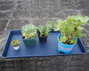 Plant Saucer Growing Tray, Seed Starter Tray Rectangular, Heavy Sturdy Plastic Plant Saucers Drainage Trays, Plant Drip Trays for Pots, Seed Starter Growing Tray (11 x 9 inch, 2 Pack) by GreenHaven Gardens