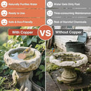 Bird Bath Copper Plate Disk 99.99% Pure Copper Cleaning Disk Stable Triple-Point Support Outdoor Bird Bowl, Pure Copper Bird Bath Purification Tray, Suitable for All Seasons by GreenHaven Gardens