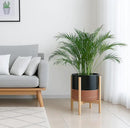 D'vine Dev Ceramic Planter with Natural Stand - 12 Inch Modern Round Flower Pot with Wood Planter Holder, Black/Speckled Tan, 55-B-J-7 by CozyNest Decor