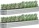 zizin 2 Pack Galvanized Raised Garden Bed Metal Oval Raised Garden Beds Outdoor Planter Box for Vegetables (12x2x1FT, Silver) by GreenHaven Gardens