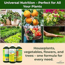 10-10-10 Fertilizer for All Purpose Plants - Liquid Fertilizer with Seaweed Kelp&Iron - Plant Food Outdoor & Indoor Plant Food, Vegetables, Flowers, Lawn & Garden 10 10 10 Fertilizer 1x8oz by GreenHaven Gardens