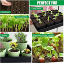 Seed Starter Tray, 5 Packs Plant Tray, Durable Plastic Growing Trays, Stackable Seedling Starter Trays Perfect for Indoor, Outdoor, Greenhouses, 16.5" L x 13.2" W x 2.8" H - Black by GreenHaven Gardens