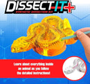 Rattlesnake Super Lab Dissect It Kit for Kids, Synthetic Dissection Kids Science Kit to Learn Biology, STEM Toys for 6 Year Old and Up by TinyTreasures Baby Boutique