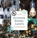 Hometown Evolution, Inc. 100' E26 Commercial Edison Bulb Outdoor String Lights (100 Foot 50 Socket, S14 Lantern Edison 11 Watt Light Bulbs) by GreenHaven Gardens