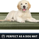 PURRUGS Dirt Trapping Door Mat 20" x 32", Non-Slip/Skid Machine Washable Entryway Rug, Shoes Scraper, Area Rug, Super Absorbent Welcome Mat for Muddy Wet Shoes and Paws, Budding Green & Sage Green by CozyNest Decor