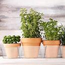 Hoolerry Plastic Plant Saucer Clear Deep Drip Tray Thickened Clear Plant Saucers Trays for Pots Deep Drip Trays for Home Garden Indoor and Outdoor Potted(15 Pcs,8, 10, 12 Inch) by GreenHaven Gardens