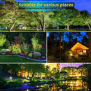 LED Landscape Lights,5W 120V AC Outdoor Pathway Garden Yard Spotlight,IP65 Waterproof Garden Flood Light,Outdoor Spotlight with Stake,UL Cord 5-ft with Plug (Pack of 2, Daylight White) by GreenHaven Gardens
