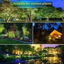 LED Landscape Lights,5W 120V AC Outdoor Pathway Garden Yard Spotlight,IP65 Waterproof Garden Flood Light,Outdoor Spotlight with Stake,UL Cord 5-ft with Plug (Pack of 4, Daylight White) by GreenHaven Gardens