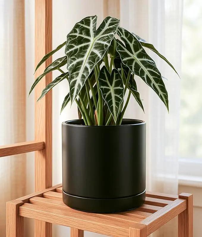 D'vine Dev Set of 2 Plants Pots, 10 Inch Ceramic Planter Pot for Plants with Drainage Hole and Saucer, Black, 94-V-E-2, photo 2 of 7