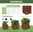 Corten Steel Planter Box-20"x20"x20"-Large Square Planter Matel -Outdoor Indoor- Heavy Duty Rustic Tall Planter Flower Pot Commercial Residential for Patio Porch Deck Home Backyard by GreenHaven Gardens