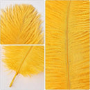 THARAHT Golden Yellow Ostrich Feathers 12pcs Natural Bulk 8-10Inch 20cm-25cm for Crafts Wedding Party Centerpieces Halloween and Home Decoration Feathers by CozyNest Decor