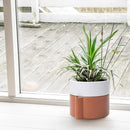 8 Inch Self-Watering Planter Pot with Terracotta Insert, Deep Water Reservoir, and Ceramic-Alike BPA-Free Plastic Planter Pot for Plant, Modern Planter for Houseplants, Terracotta/White, 53-B-T-6 by CozyNest Decor