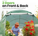 KING BIRD Premium 10x6.6x6.6FT Greenhouse for Outdoors, Large Walk-in Heavy Duty Galvanized Steel Frame, Mesh Door Screen Window Upgraded Zipper Tunnel Hoop for Garden Plant Winter, Green by GreenHaven Gardens