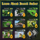 Bigger Amber Dig Kit - 8 Different Artificial Insect Resin,Excavate Unique Insect Specimens,Bugs Toys Educational Science Kits Toys for Kids,STEM Projects Gift for Girls & Boys Age 6-8-12-14 Year Old by TinyTreasures Baby Boutique