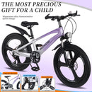 FKZNPJ 20 Inch Kids Mountain Bike