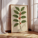 The Holly Botanical Art Print
