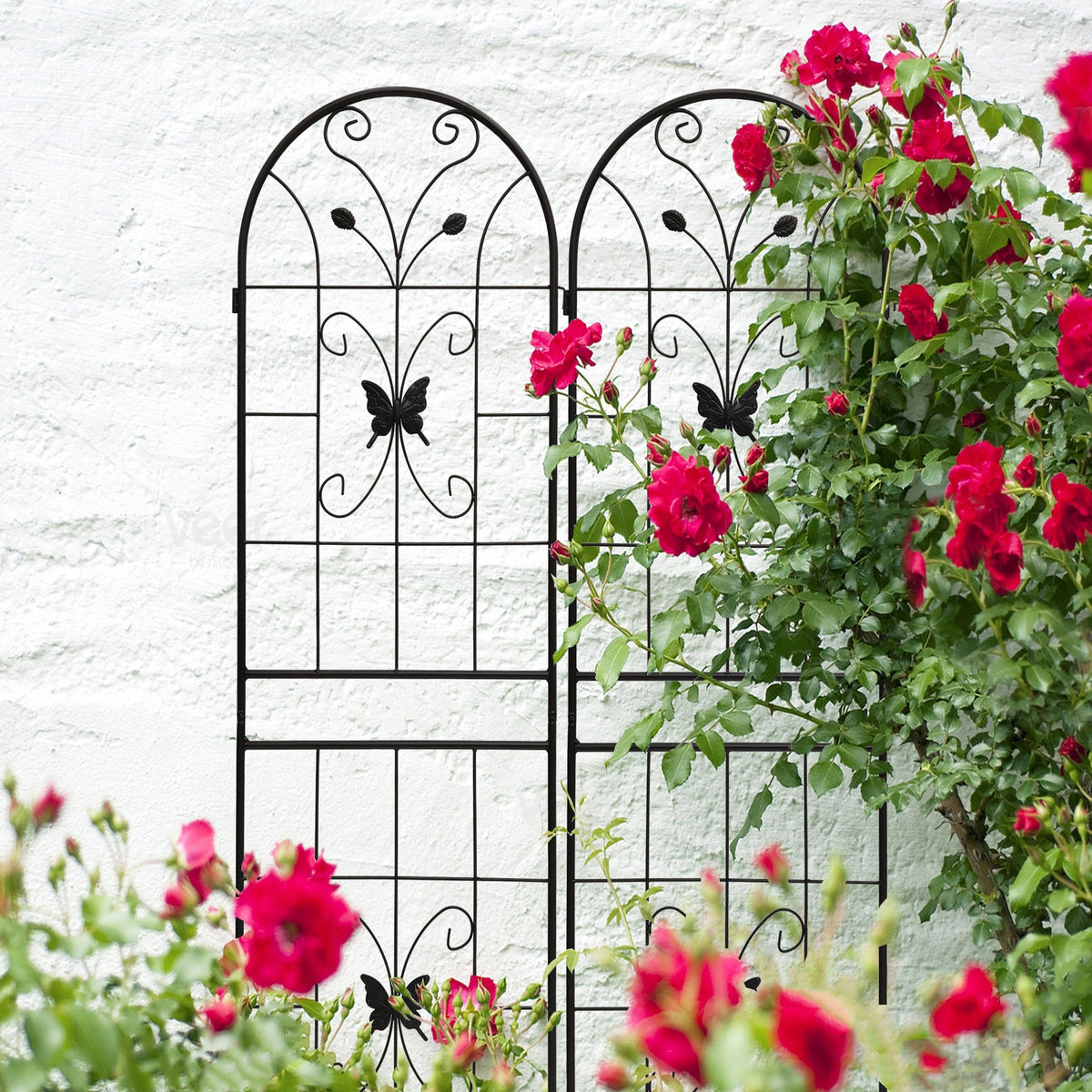 2 Pack Metal Garden Trellis 71" x 19.7" Rustproof Outdoor Support, photo 6 of 10