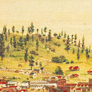Vintage Map of Shasta, California 1856