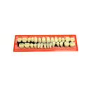 Professional Grade Fake Resin Teeth Set - 28 Pieces