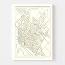 Vintage Map of Dallas, Texas 1893