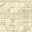 Vintage Map of Dallas, Texas 1878